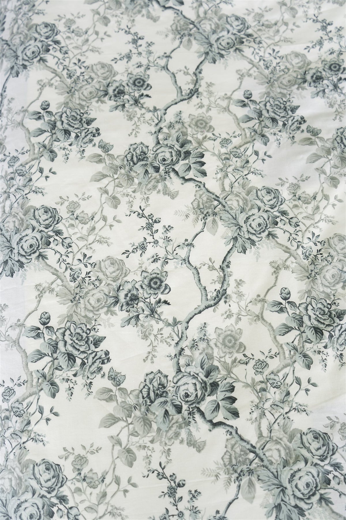 Estampado toile de rosas gris verde de la funda de plumón Olivia